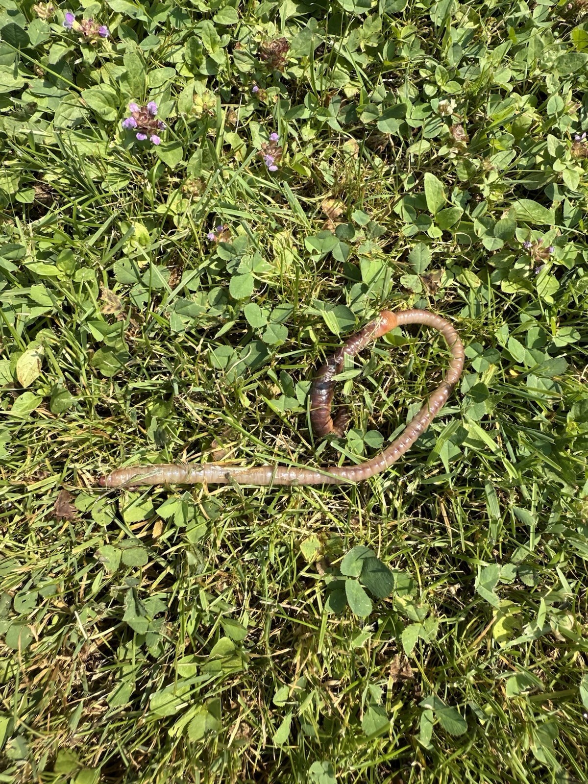 Site wideCredit To Bank.