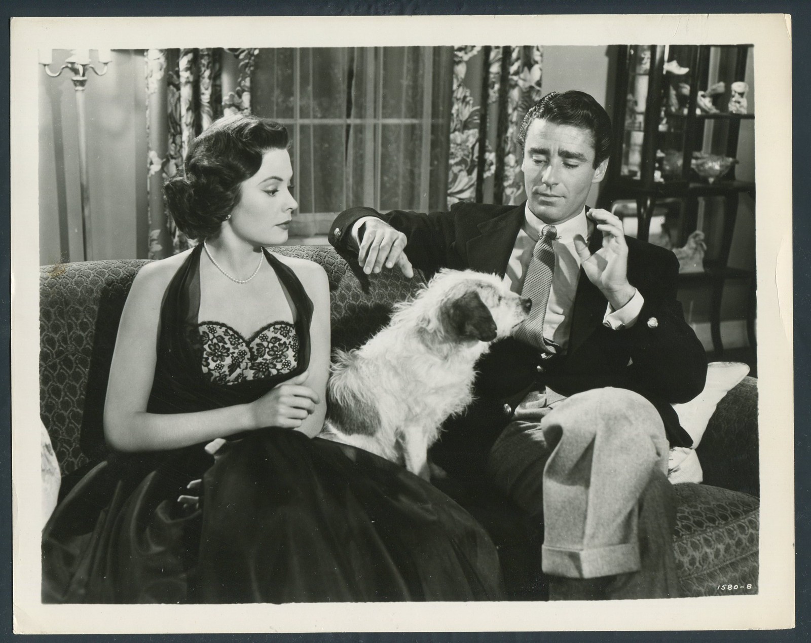 JANE GREER PETER LAWFORD in You For Me '52 SKYE TERRIER DOG