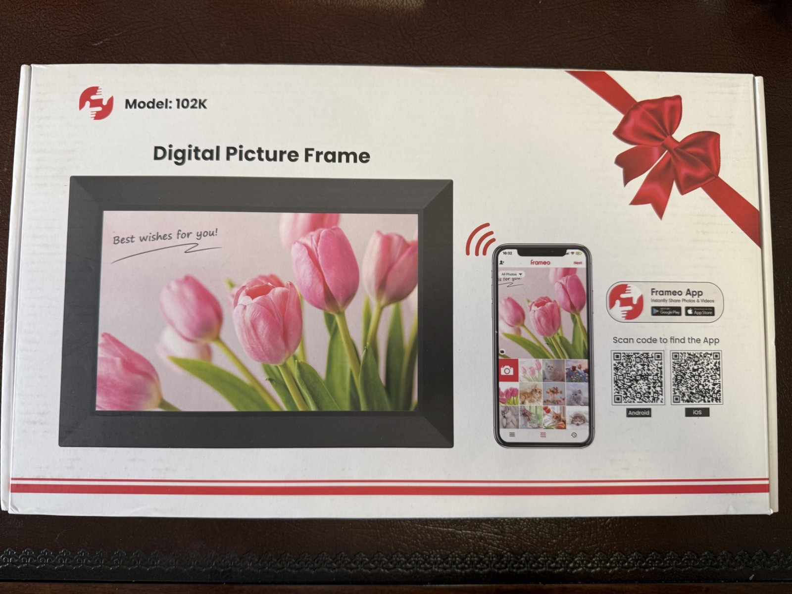Model 102 Digital Picture Frame