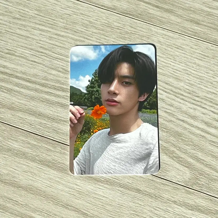 Enhypen Sweet VeNom Orange Blood Showcase Photo Card (MIB)