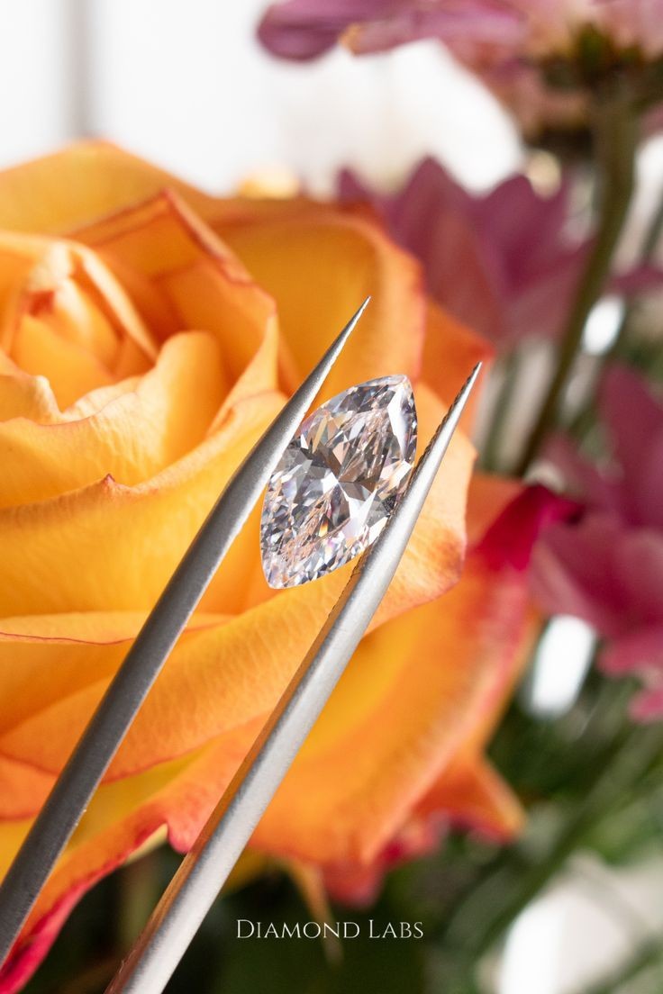 Certified Loose Lab Grown Diamond 5 Ct Marquise Cut VVS1 Clarity