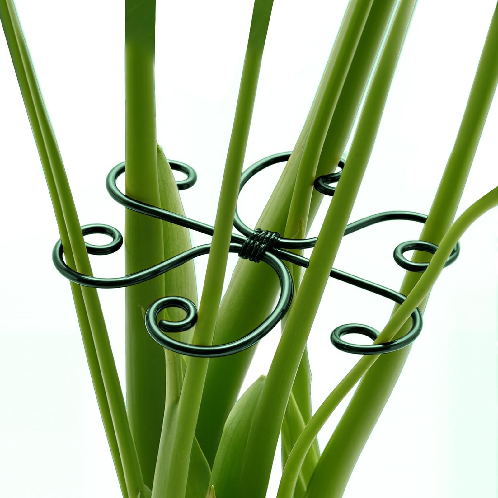 Yeomant 4PCS Green Iron Monstera Support, Uniquely Designed Plant 
