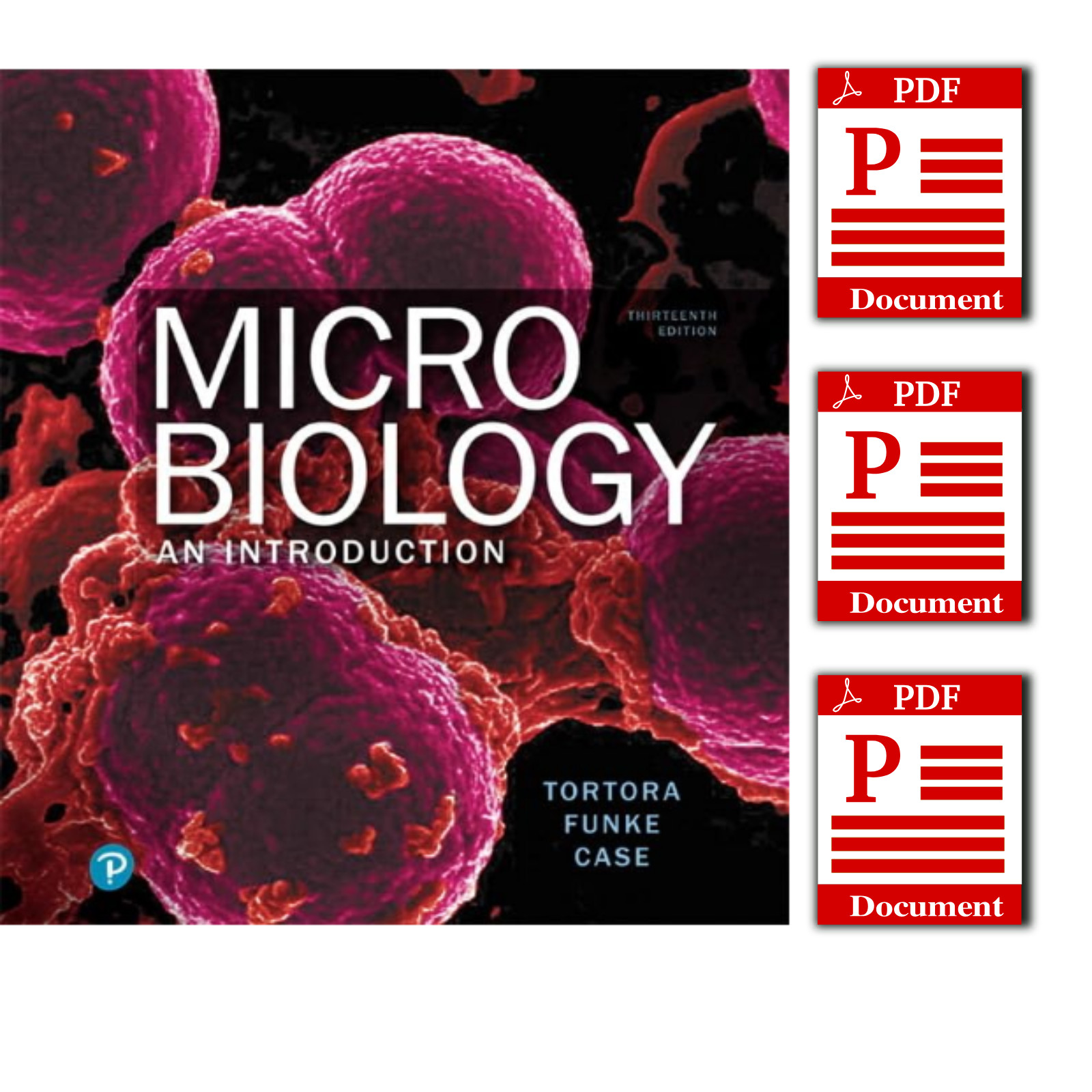Microbiology: An Introduction 13th Edition