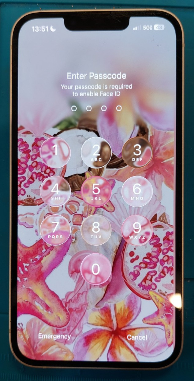 Genuine OEM iPhone 13 Display (Grade D - Heavily Scratched)