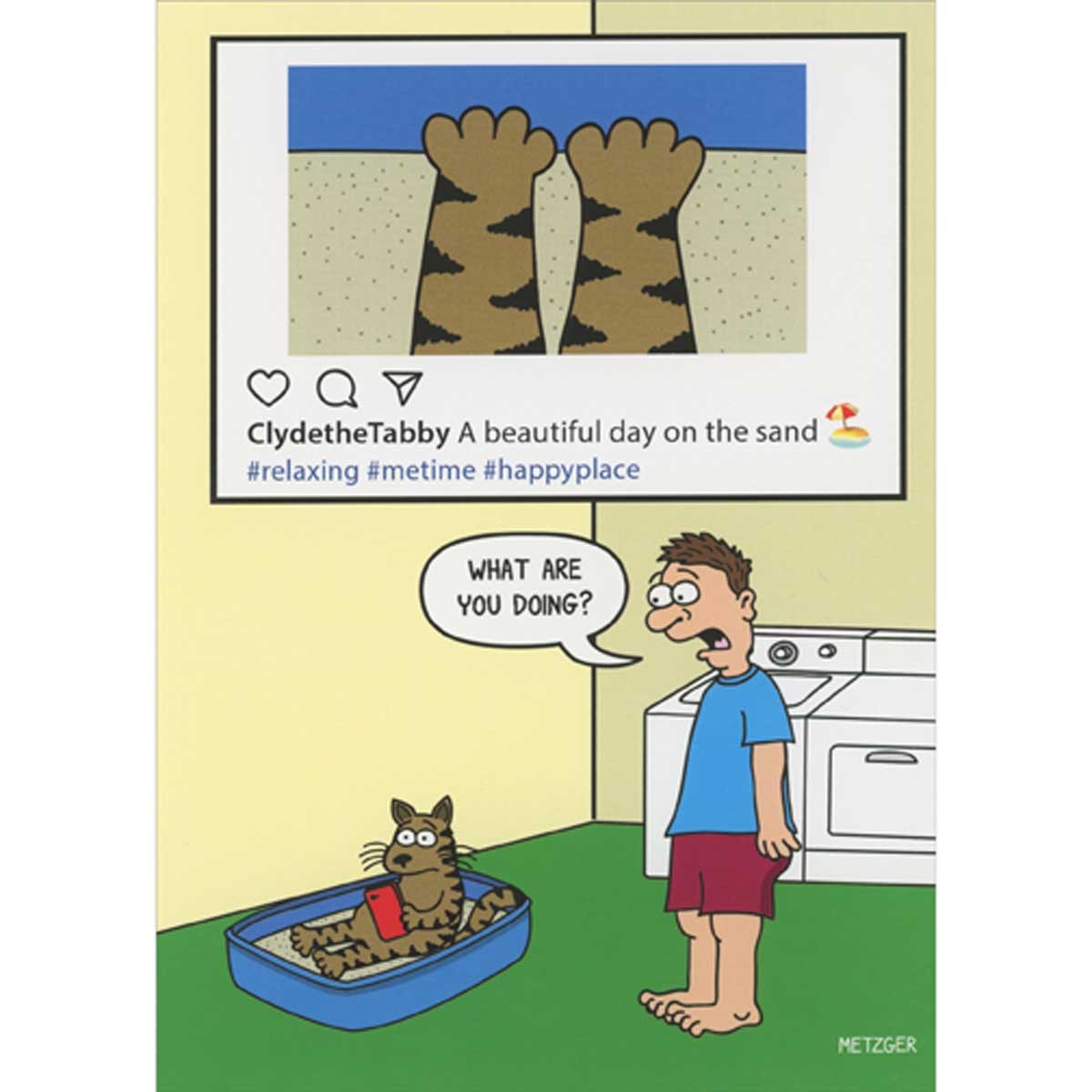 Oatmeal Studios Cat Posting to Social Media in Litter Box Funny Birthday Card