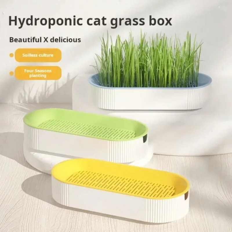 Cat Grass Planting Box Growing Plant Box Hydroponic Soil-Free Cat Snacks