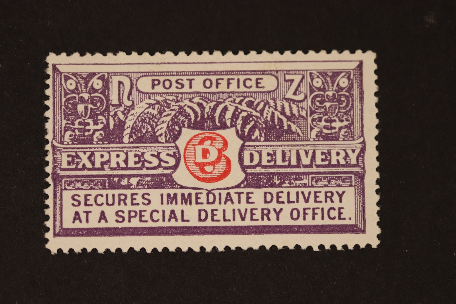 1903 NEW ZEALAND EXPRESS DELIVERY STAMP 6D E1 MH