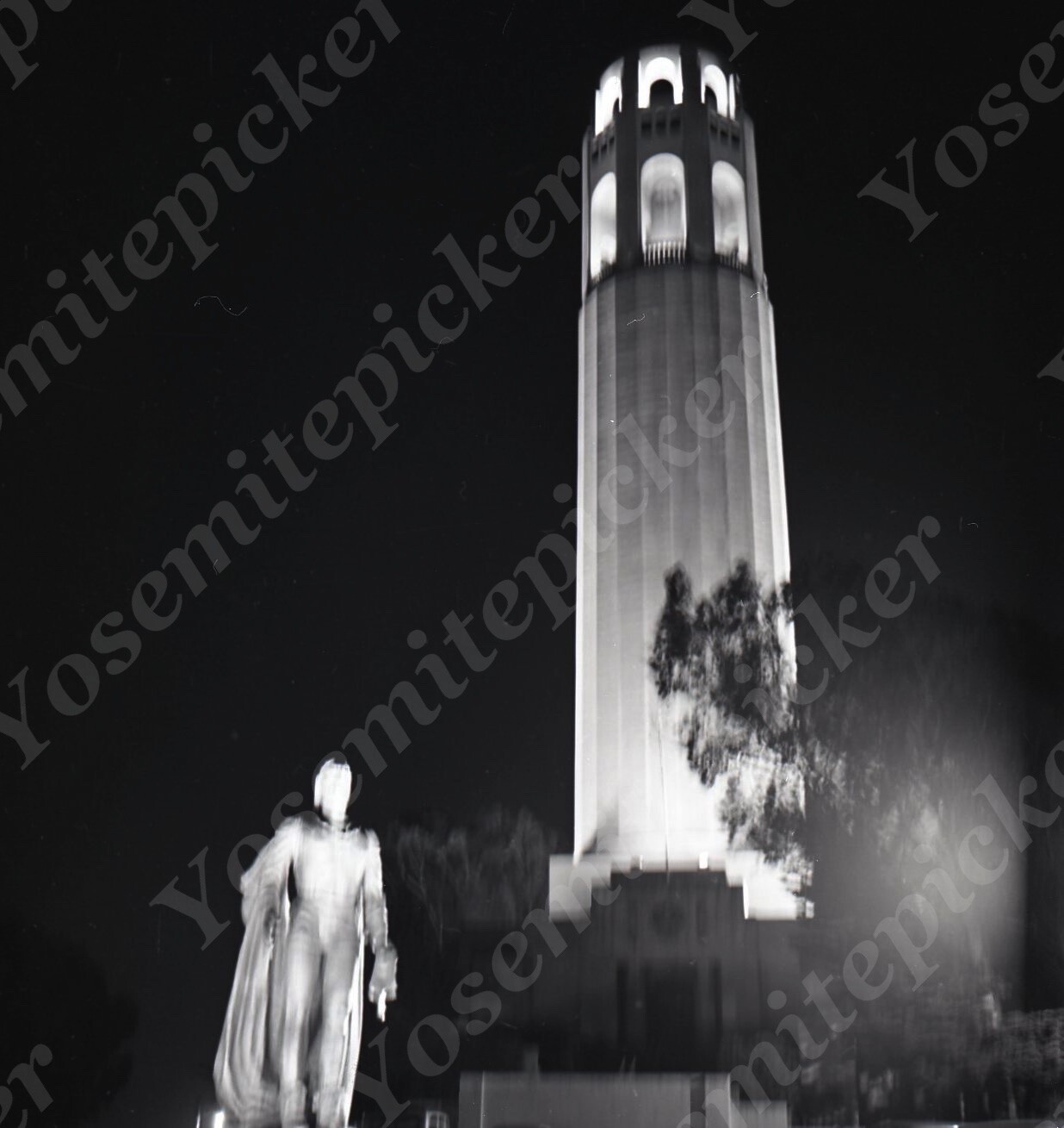 a13 Original Negative 1961 San Francisco Statue / Coit Tower Night View 586a