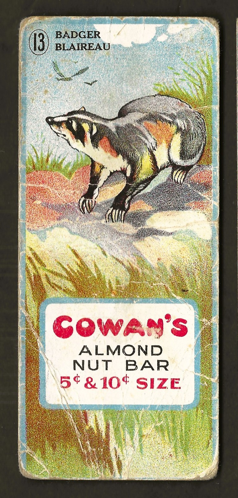 1920s Badger Animal Card V2 Chocolate Card Cowan's Almond Nut Bar #13 Canada