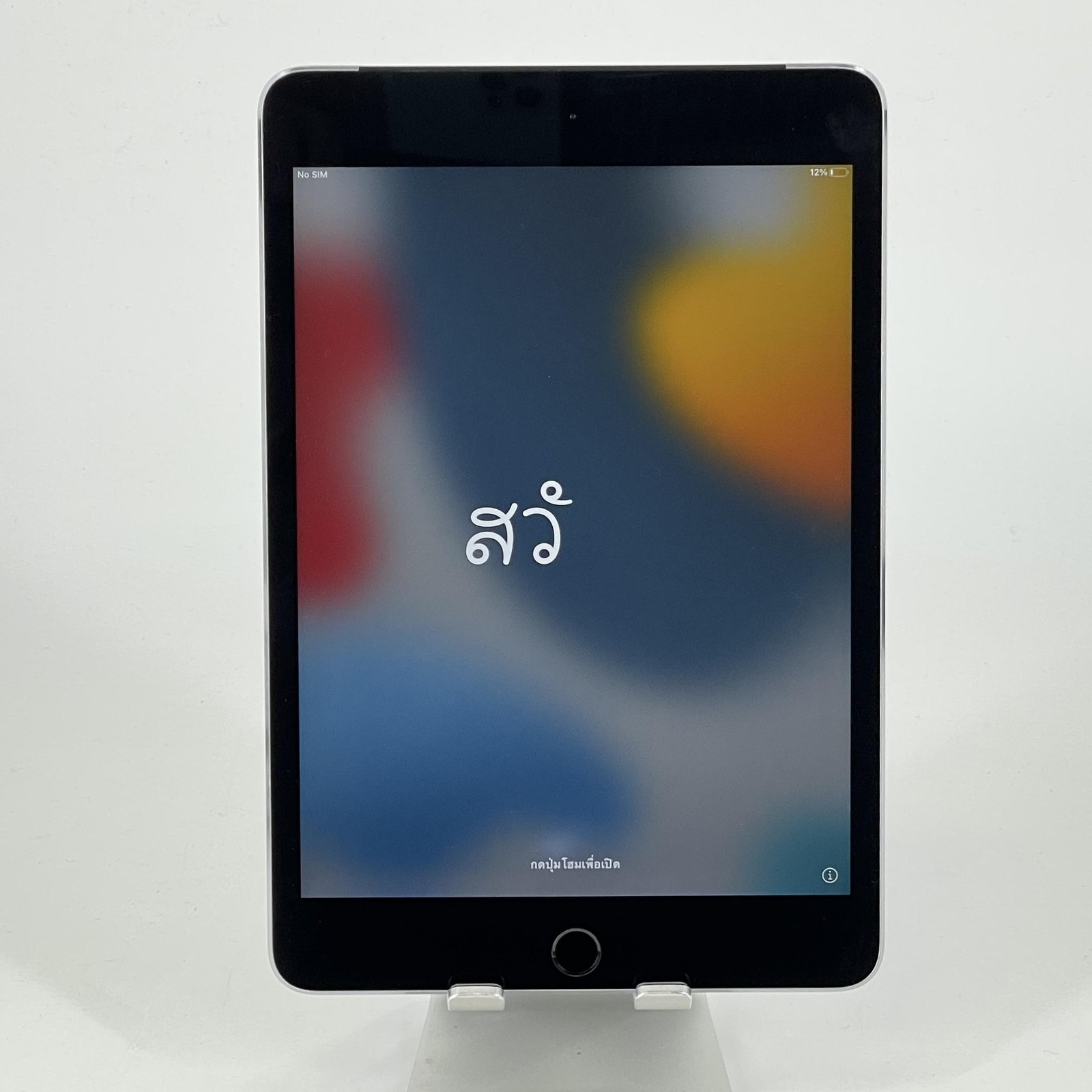 Apple iPad Mini 4 Space Gray 64GB Unlocked - Good w/ White Spots/Battery Issue