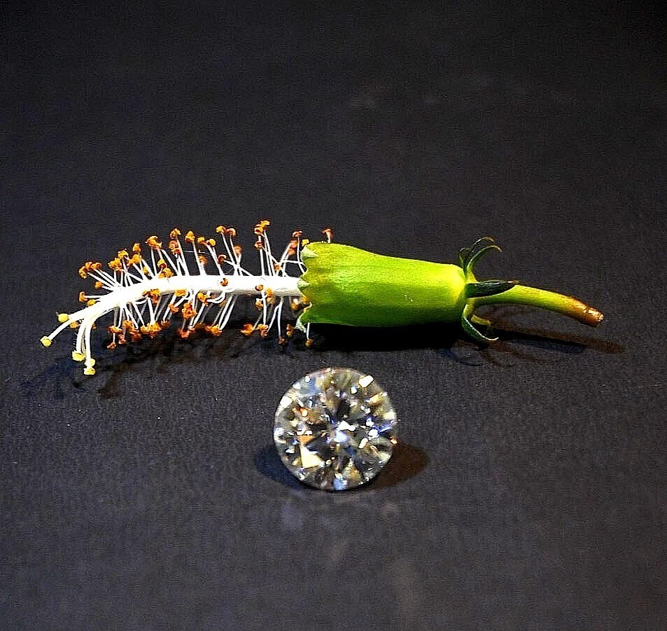 3 Ct Fancy D Color Round Brilliant Cut Loose Gemstone Diamond Quality VVS1