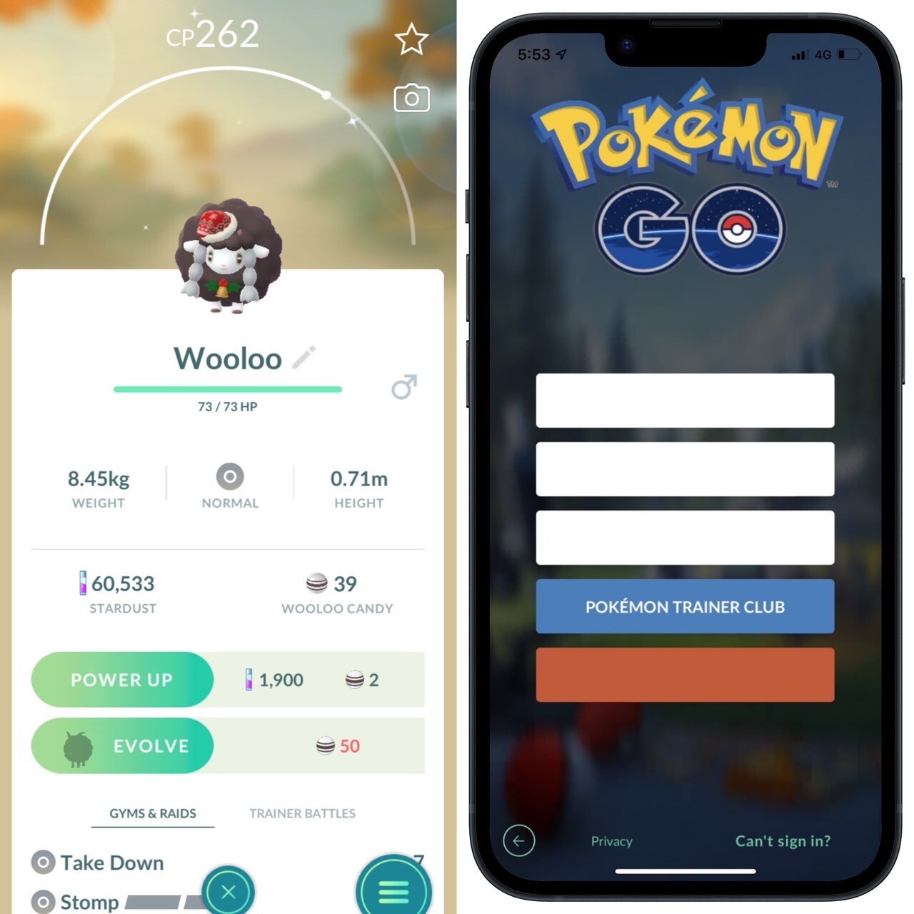 Shiny Wooloo wearing holiday attire✨mini PTC 20k✨(read description)