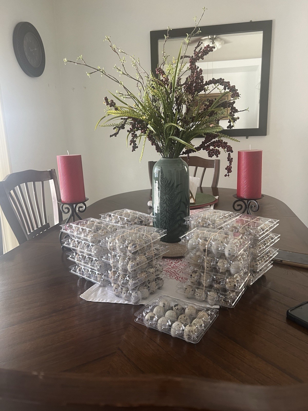 200 Coturnix Quail Hatching Eggs – Fertile – Fresh From Farm