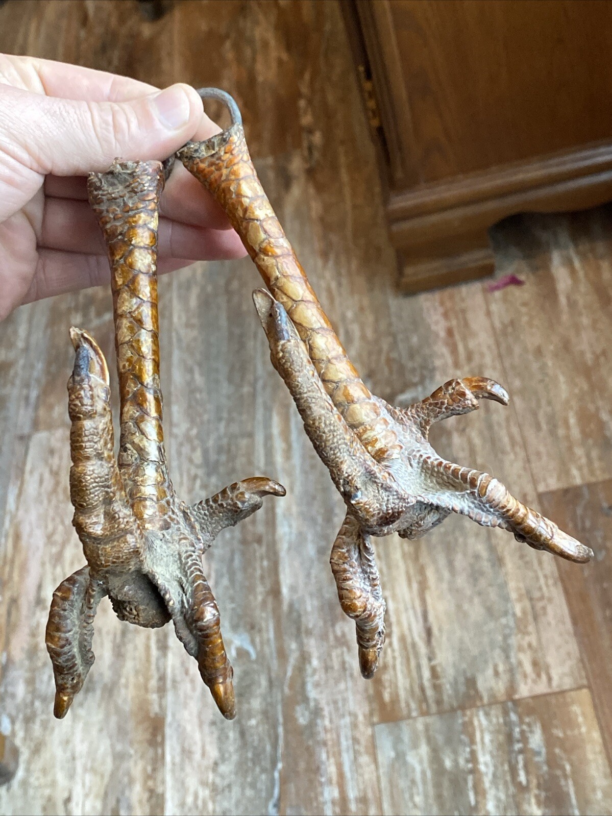 2 Antique Cabin Camp Farmhouse Turkey Foot Taxidermy Claw Hook Coat Hat Gun Rack