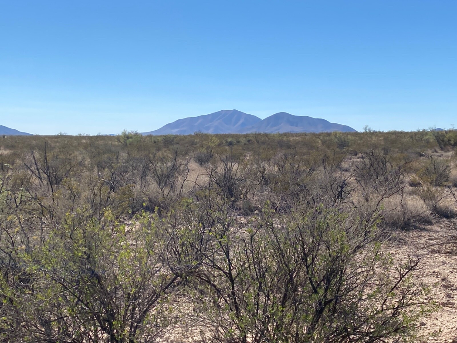 180 Acres for sale in Sierra Blanca, TX