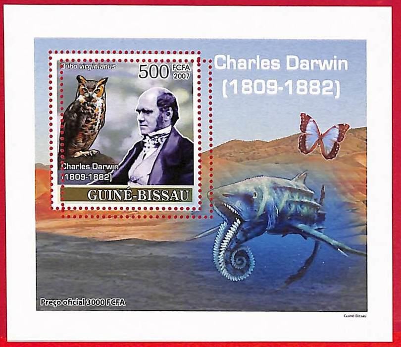 A5075 - GUINE-BISSAU - ERROR MISPERF Stamp Sheet - 2007 - Darwin, Animals OWLS