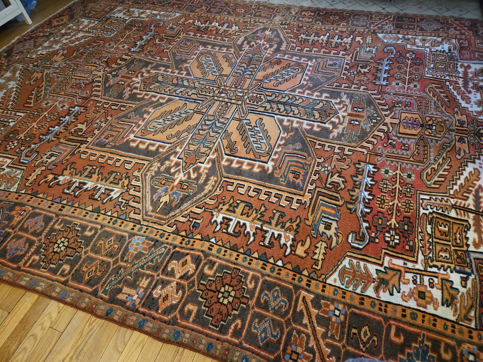 Antique Heriz Area Rug 8'x11' Hand Knotted Vegetable Dye Multi-Colored Medallion