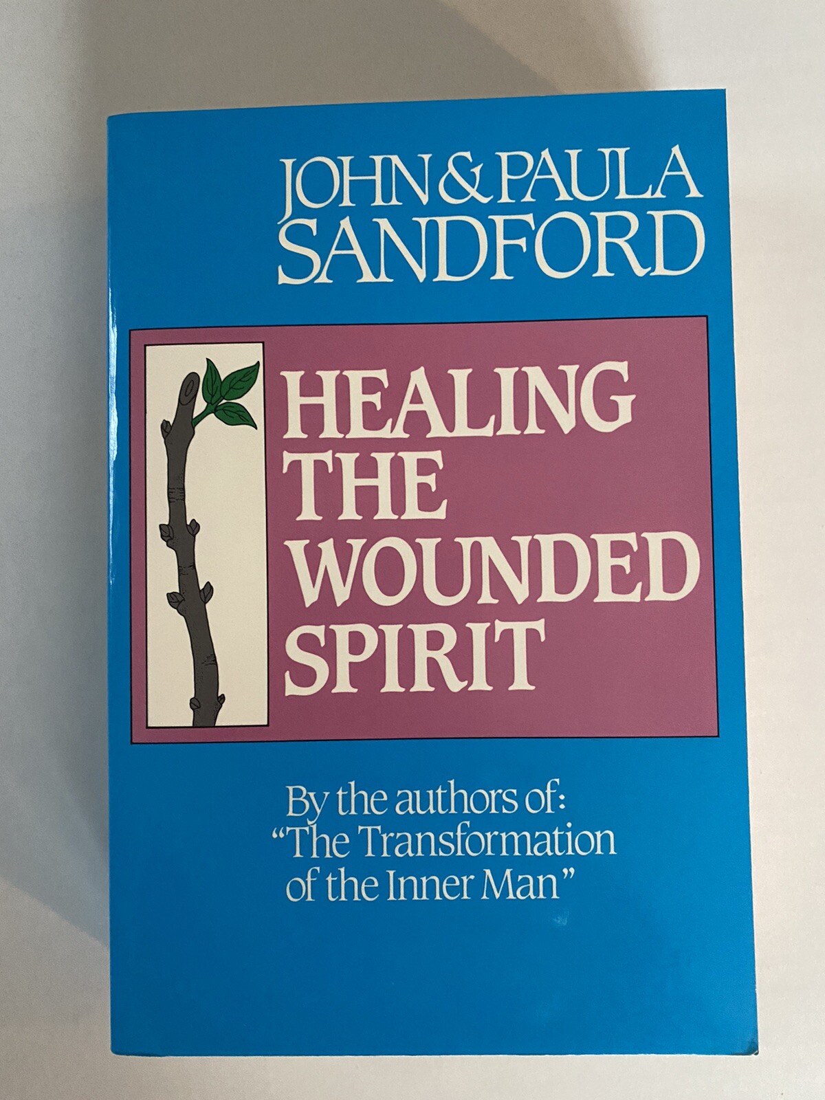 Healing the Wounded Spirit Sandford 1985 Spiritual and Inner Healing Softcover