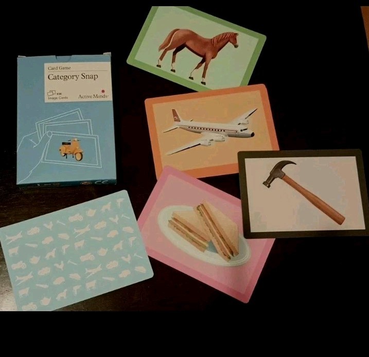 Active Minds Matching Category Game For dementia Therapy