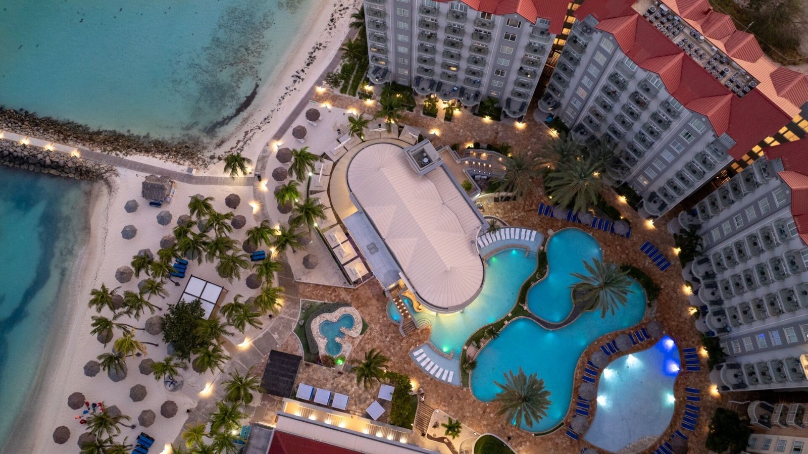 Divi Aruba Phoenix Beach Resort - Studio - 11/23 - 11/27 2026 - 4 nights