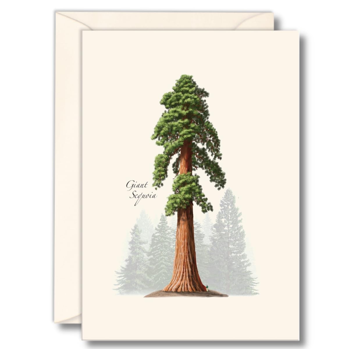8 PCS Giant Sequoia Tree Notecard Set Blank Cards Envelopes Stationery