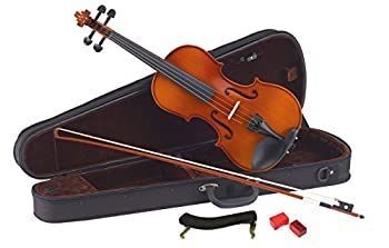 [Used] Carlo Giordano Violin Set Black VS-1 1/10