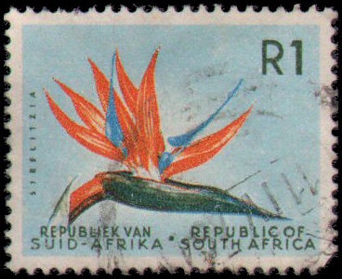 South Africa #266 Used