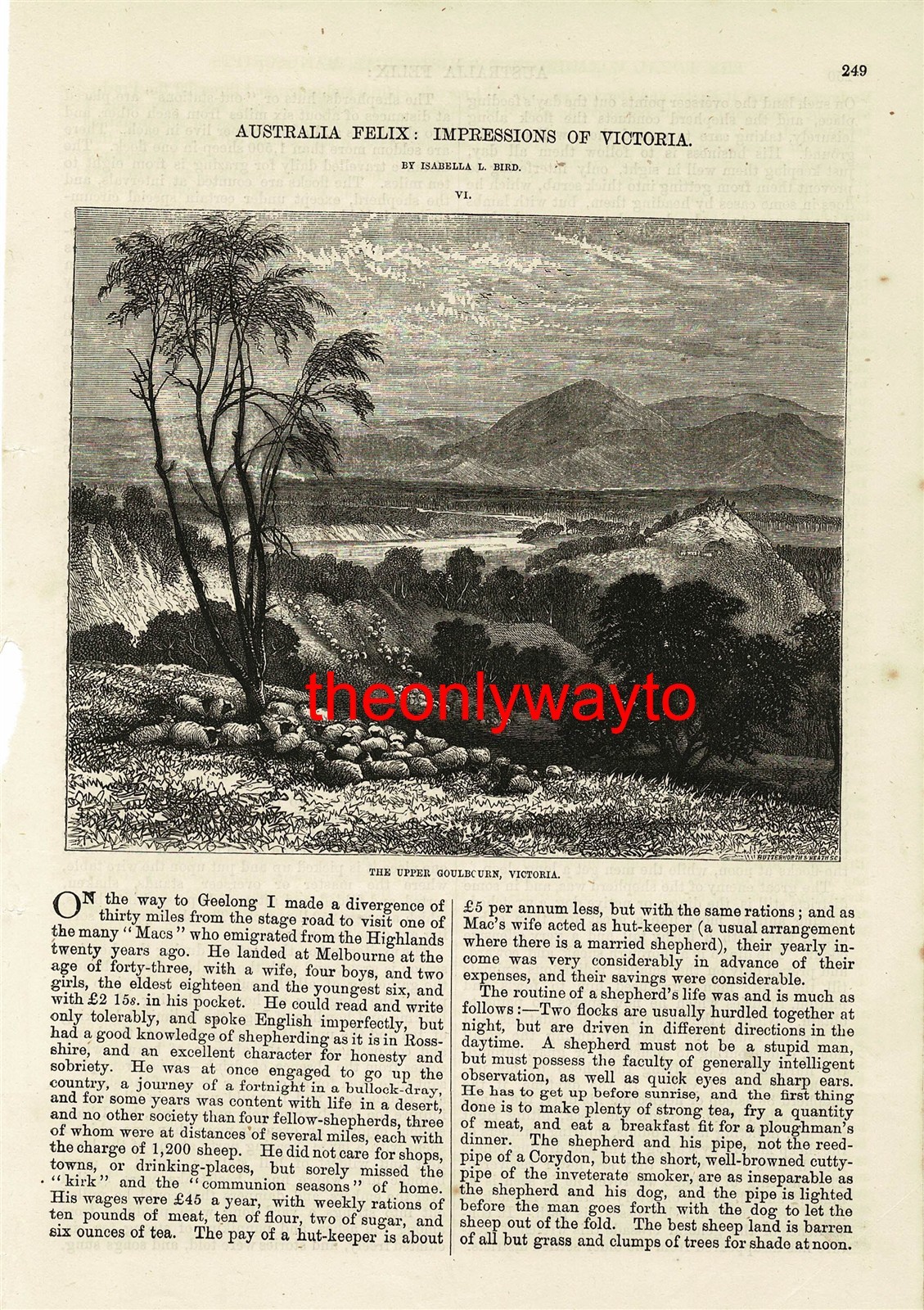 The Upper Goulburn, Victoria, Australia In 1840, Book Illustration (Print), 1877