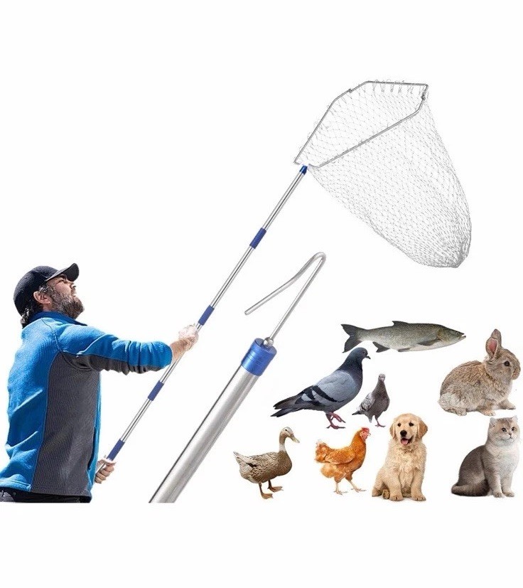 Chicken Catching Net ,Chicken Catcher Leg Hook , Extendable from 33" to 75.5"...