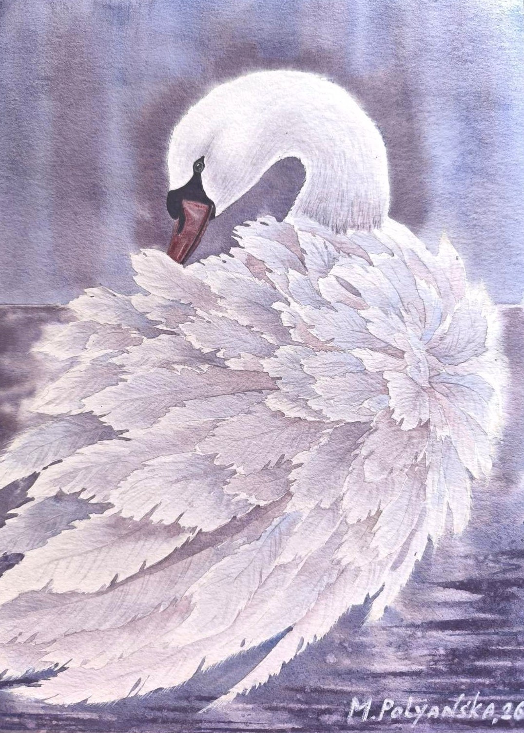 New SNOWY WHITE SWAN Original Painting Landscape National Park CA LOVE Gift A4