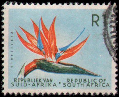 South Africa #266 Used