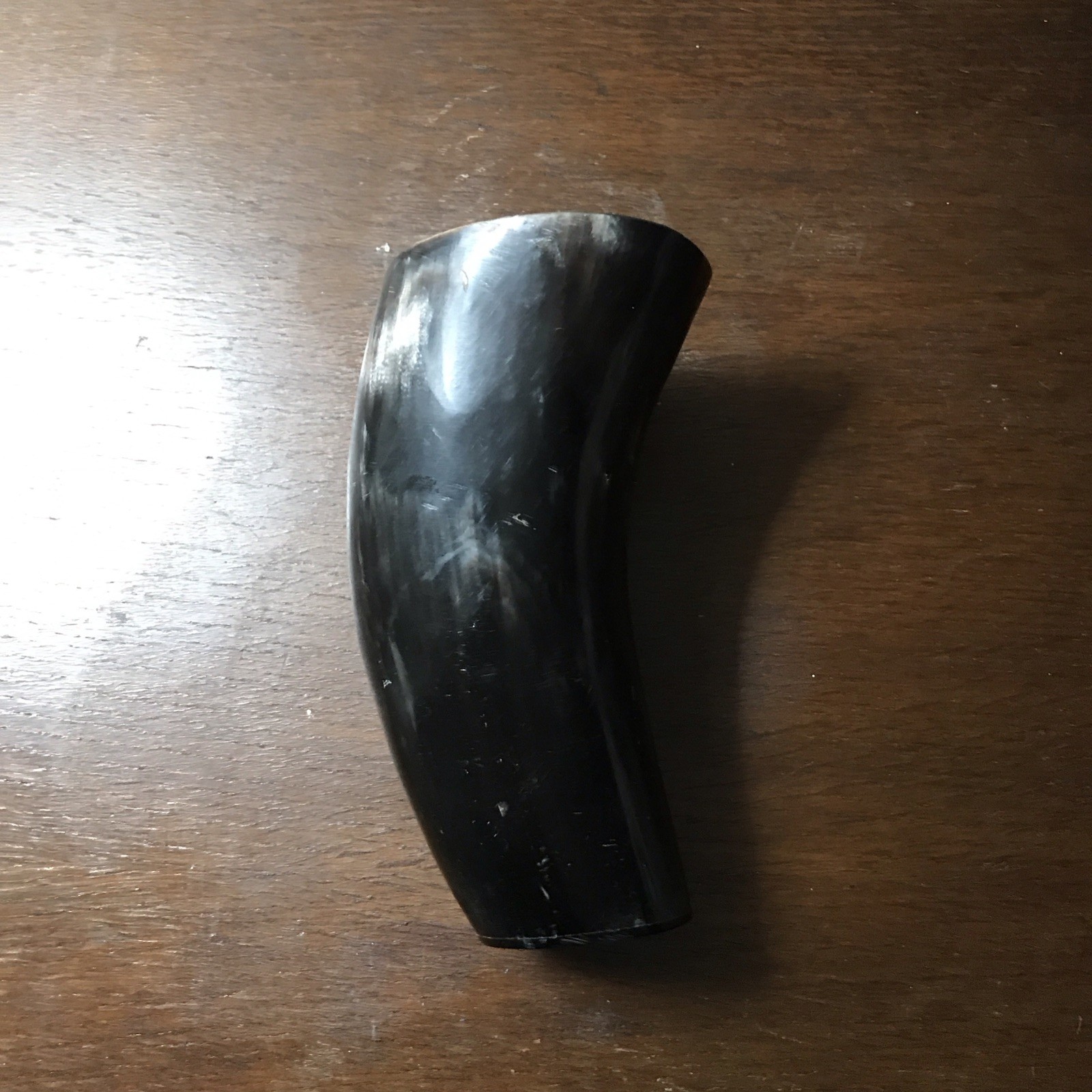 Large Hand Tooled And Hollow Bovine Cow Bull Steer Longhorn Animal Horn