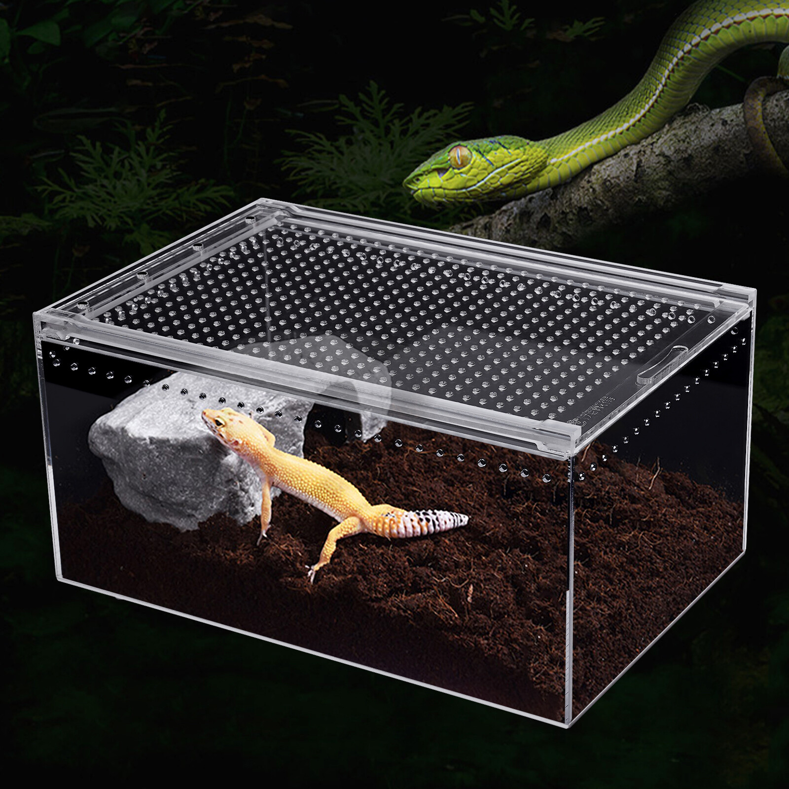 Magnetic Acrylic Large Enclosure 2.5 Gallon 12 X 8 X 6 Inch Reptile Breeding Box