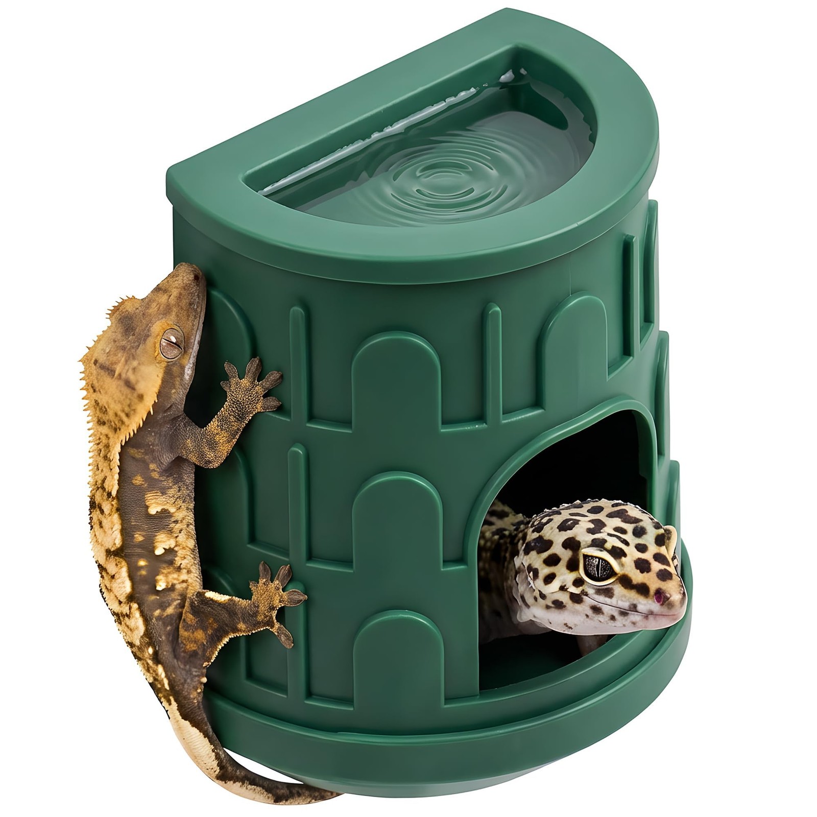 Wall Mount Reptile Hide Cave Food Bowl Terrarium Habitat Setup Gecko Spider
