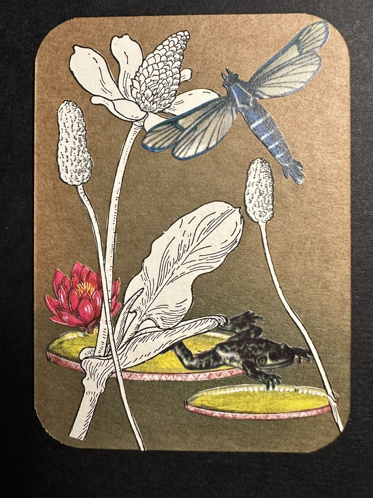  ACEO original ATC card collage hand-cut paper frog pond lilypad nature