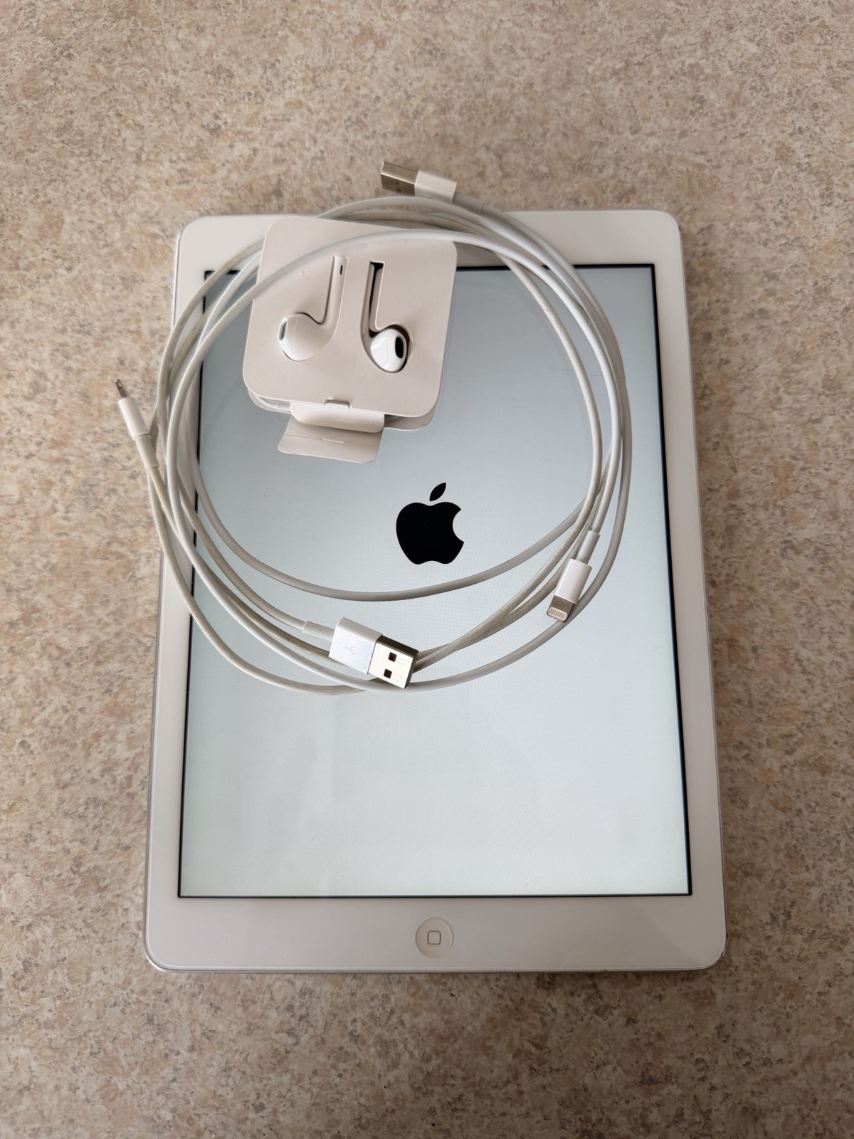 Apple iPad Tablet Silver Wi-Fi Touch Screen Rear Camera w/ Cable & Earphones