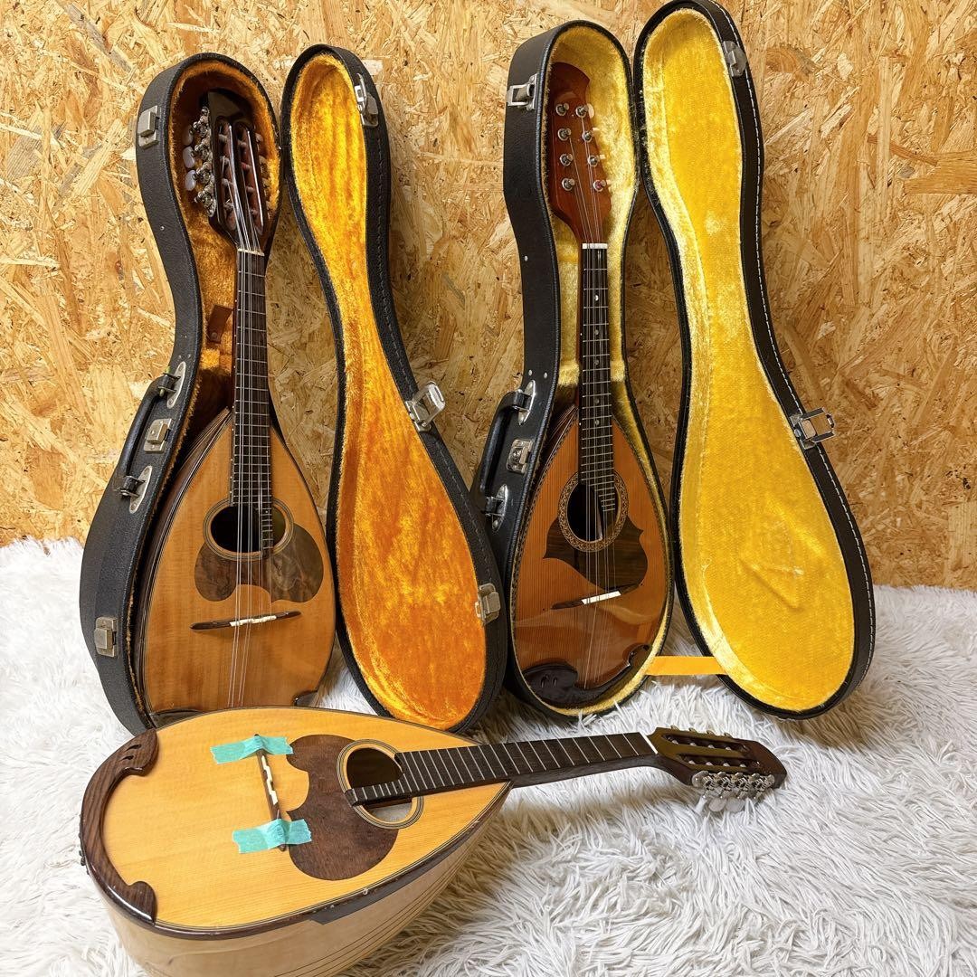 SUZUKI M-30 M-215 Mandolin Bulk Sale Suzuki Suzuki