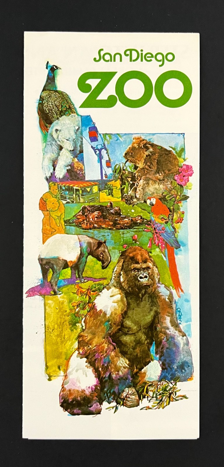 1970s San Diego California Zoo CA Tourist Animal Photos Vintage Travel Brochure