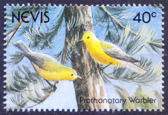 Nevis 1991 MNH, Prothonotary Warbler (Protonotaria citrea), Birds