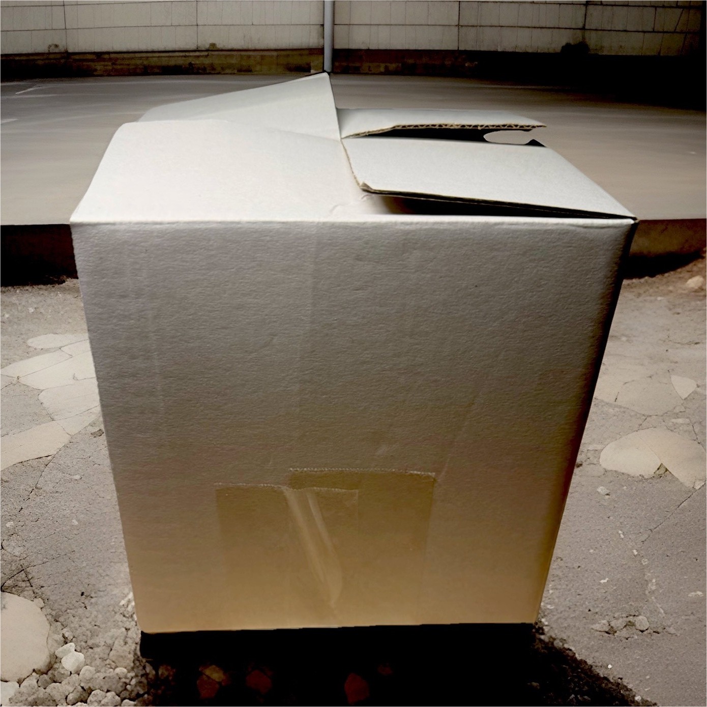 Mystery Box 🔮 Multicolor Mixed Jewelry & Craft. READ DESCRIPTION. 