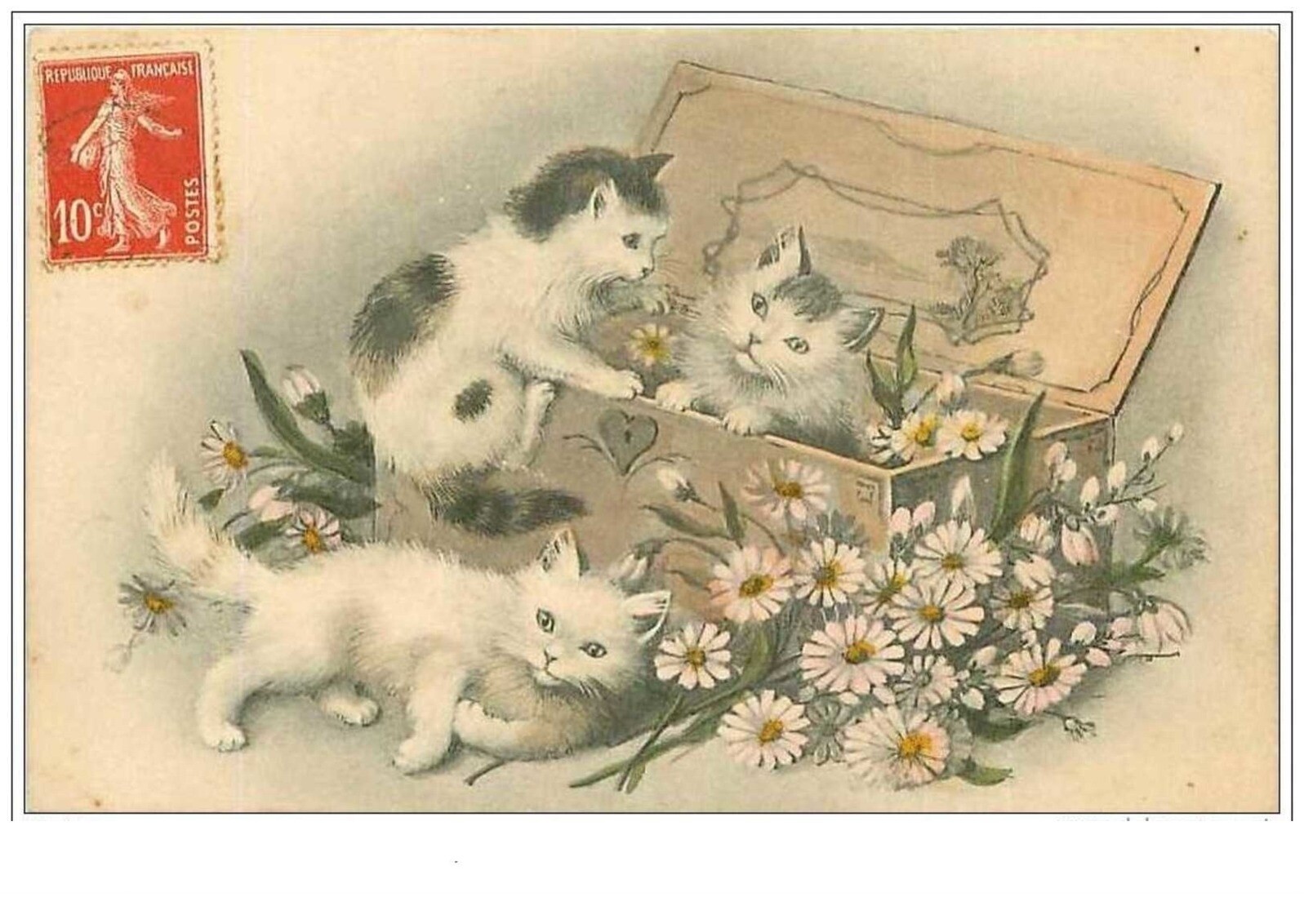 Cats No. 1192. Cats In A Flower Box