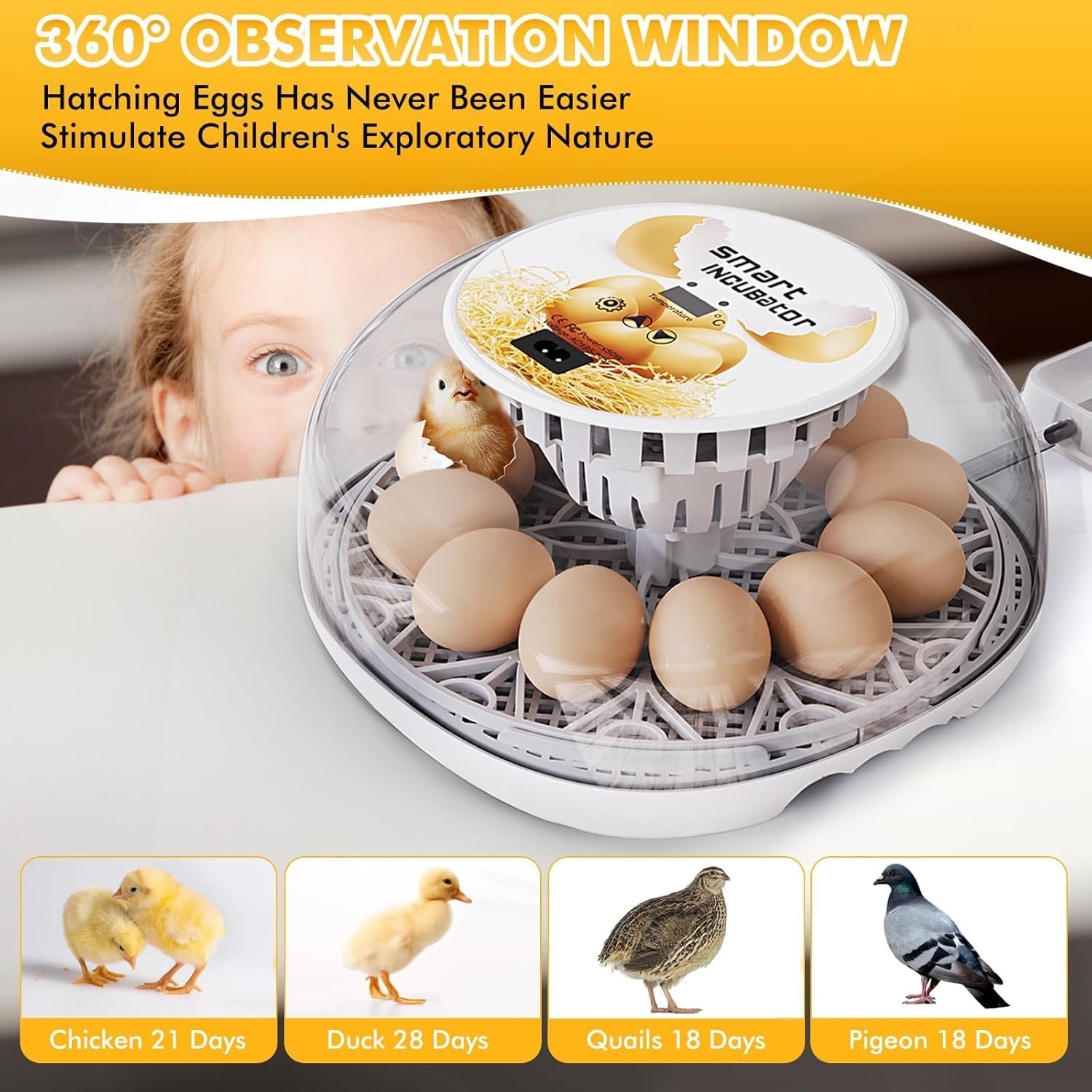 12 Egg Incubators for Hatching Eggs with Automatic Egg Turning and Humidity-FREE