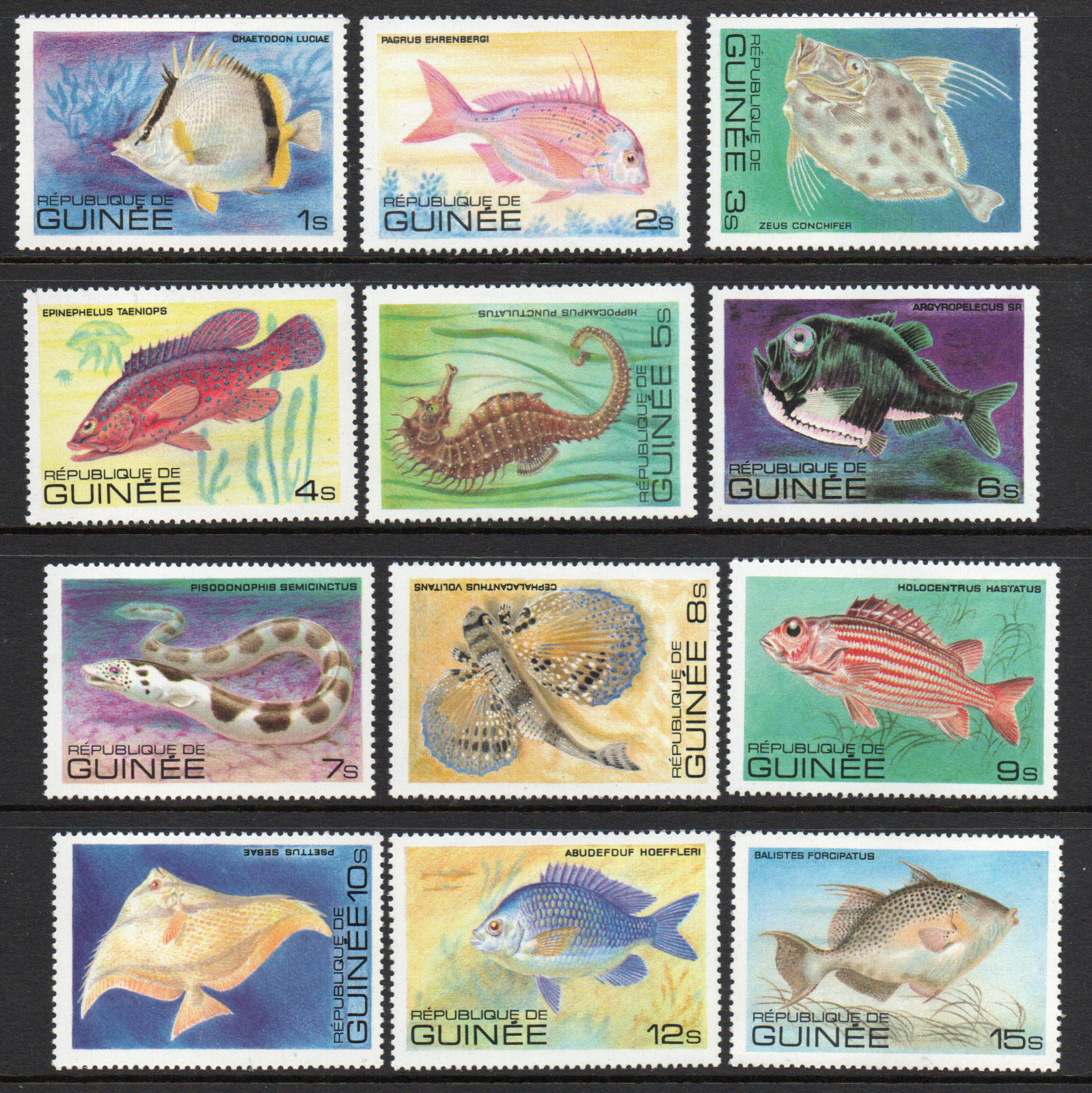 Fish - Guinea 1980 set fine fresh MNH