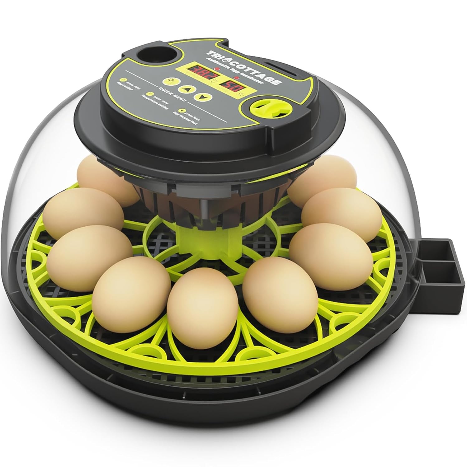 12 Egg Incubator with Automatic Turning and Humidity Control, Digital Fan