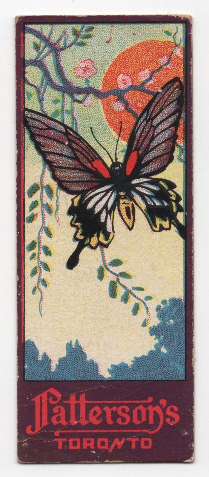 1920s Butterfly Card V78 Patterson’s Chocolate Toronto Butterflies #16 Canadian
