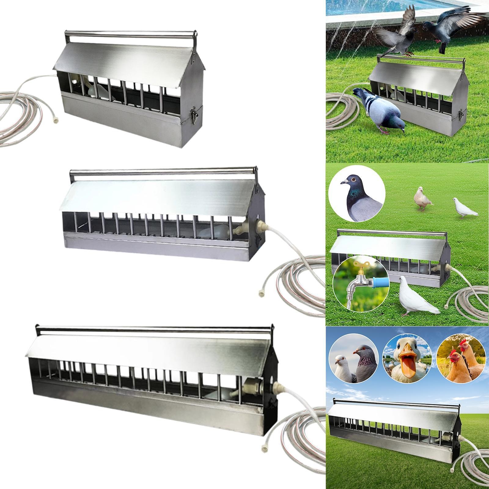 Automatic Poultry Waterer Poultry Fountain Chicken Drinker