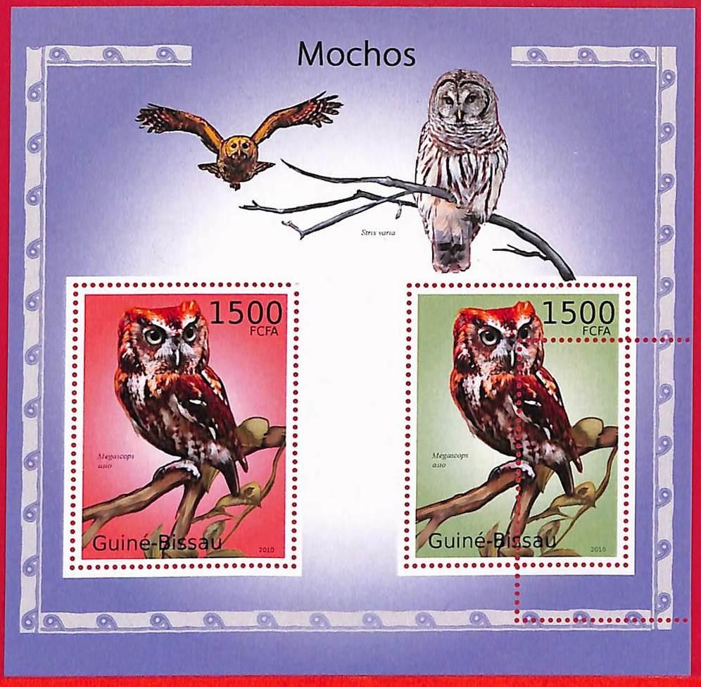 A5305 - GUINE-BISSAU - ERROR MISPERF Stamp Sheet - 2010 - OWLS