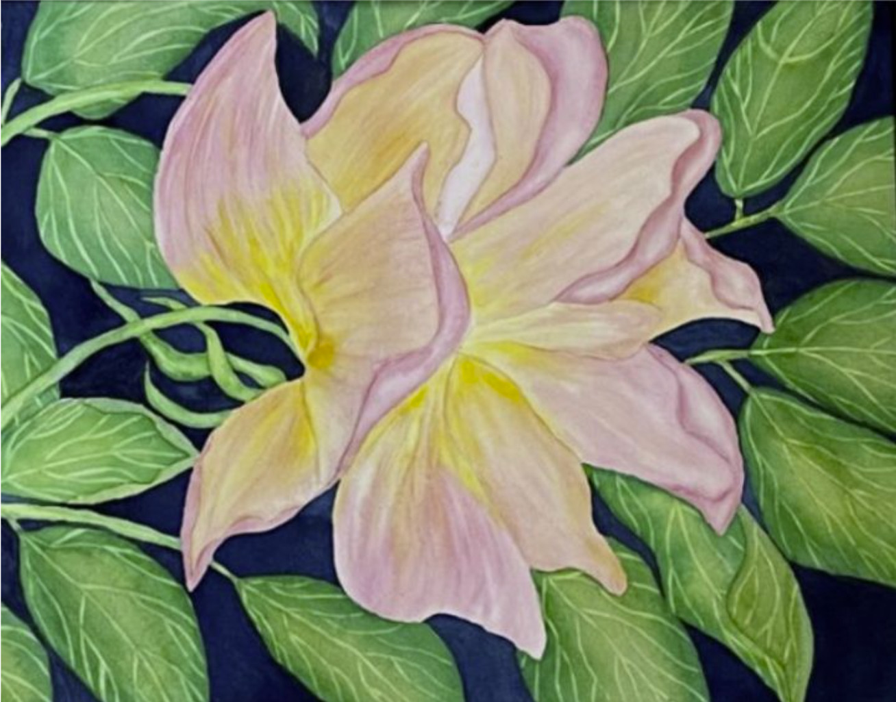 PAINTING WATERCOLOR 11X14 & DOUBLE WHITE MAT 16X20 FLOWER ROSE PINK CORAL ORANGE