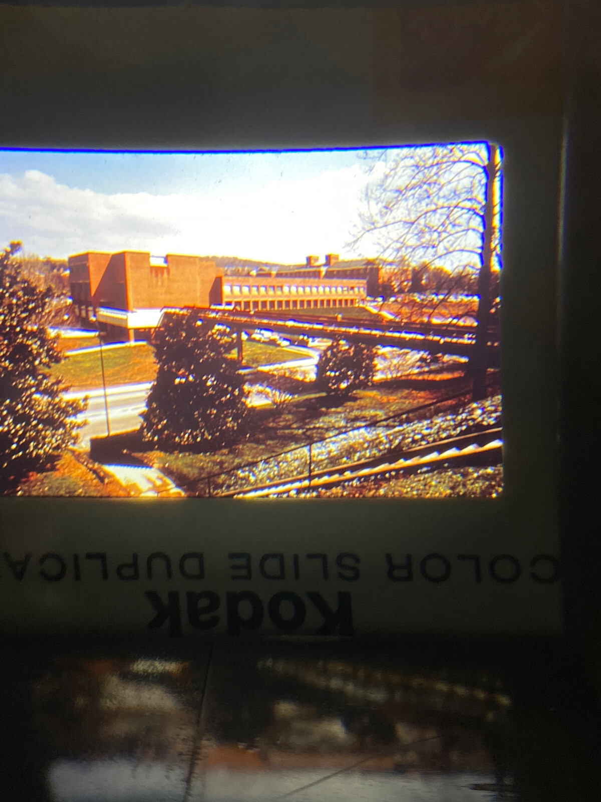 Vintage 1978 Photo Found 35mm University of Virginia Curry School Original
