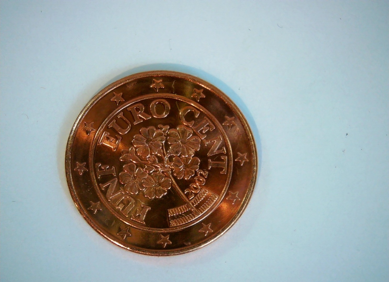 Finland 2002 5 Euro Cent Euro cent (Finland) - Cloudberry (Rubus chamaemorus) Co